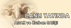 Canlı Yayında Kurbanlıklar